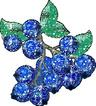 Blueberry Lit logo