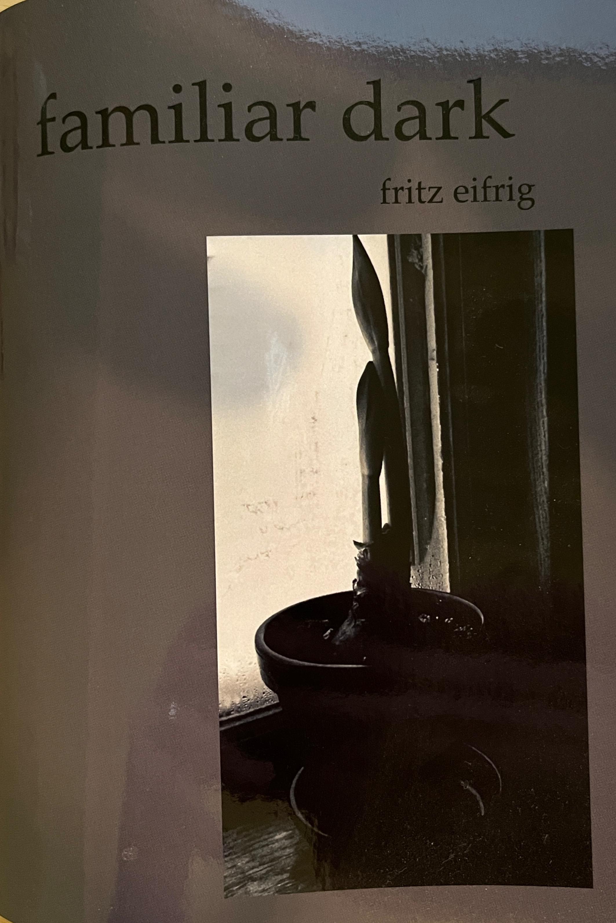 Book cover of familiar dark by fritz7784