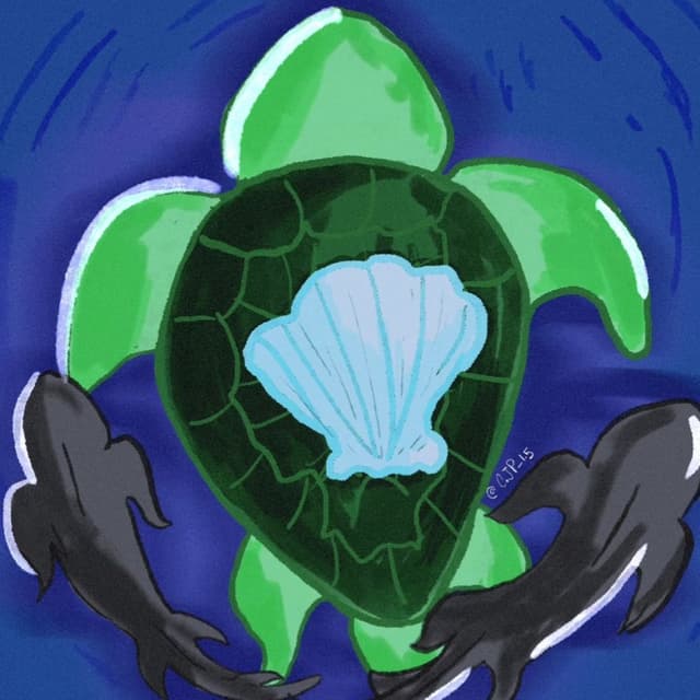 shelterseas avatar