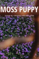 Moss Puppy Magazine