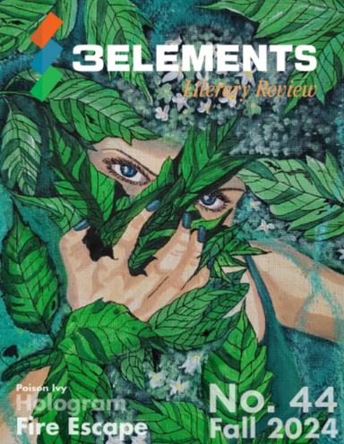 3Elements Literary Review latest issue