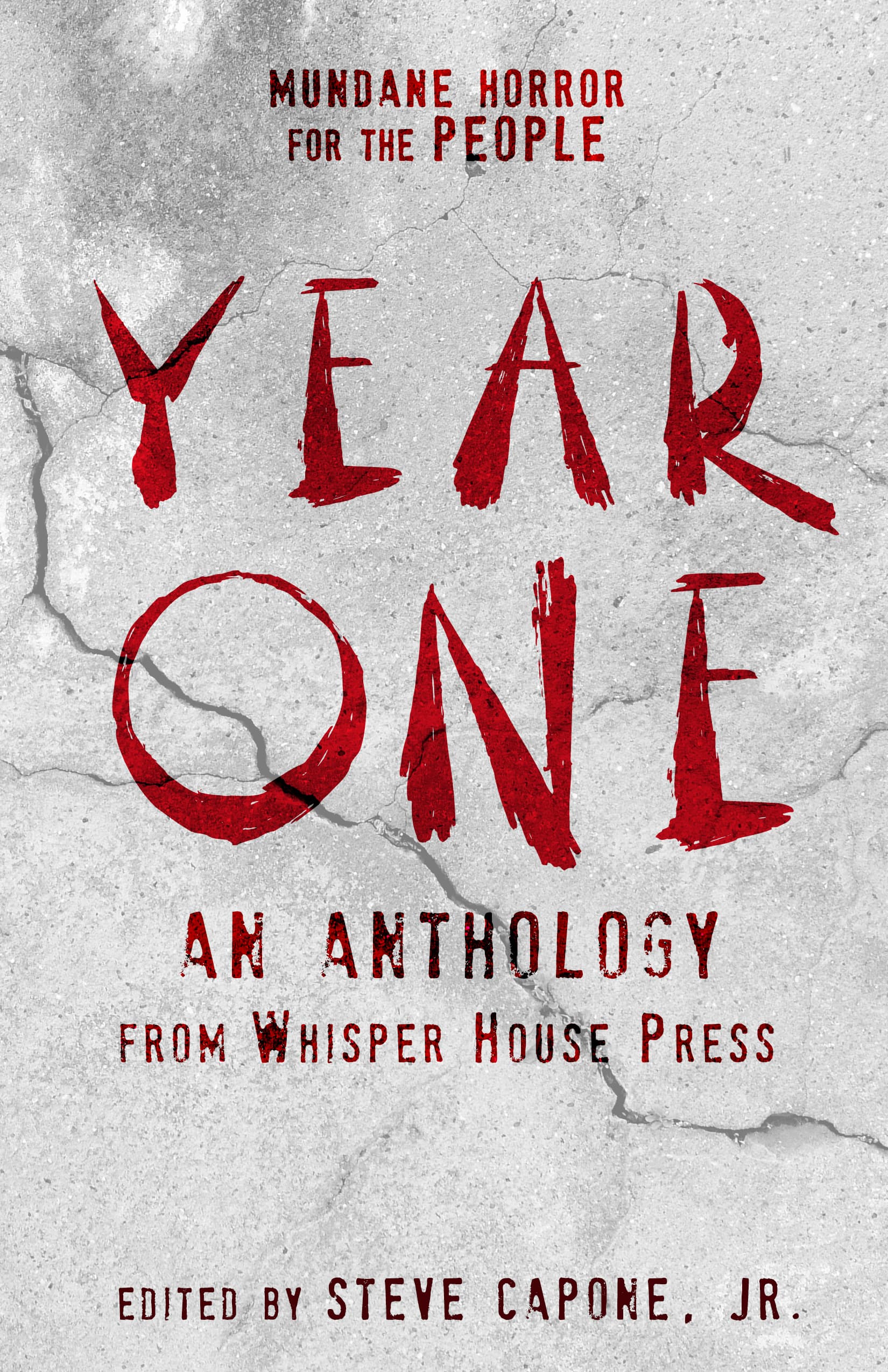 Book cover of Year One by Steve Capone Jr