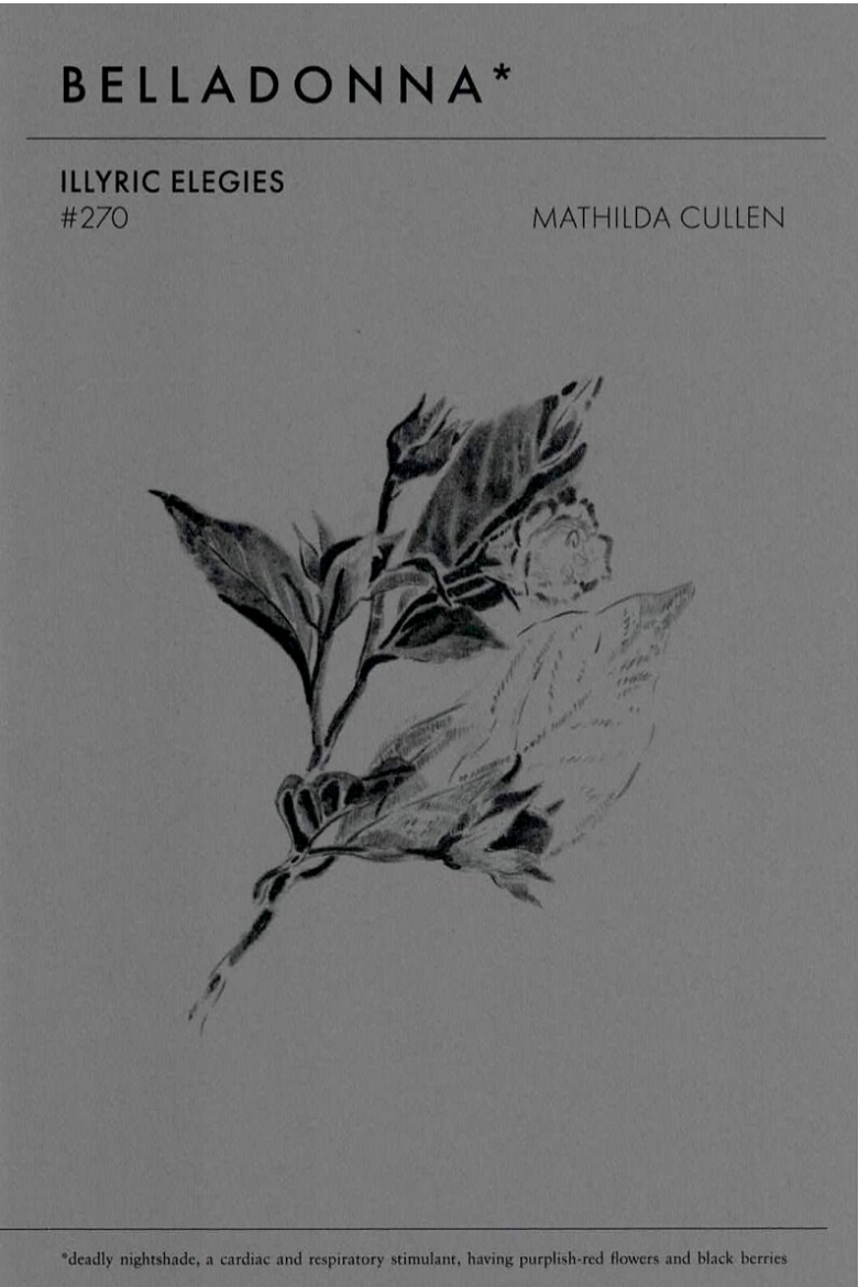 Book cover of Illyric Elegies by Mathilda Cullen
