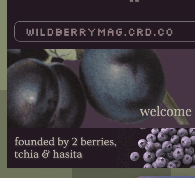 Wild Berry Magazine latest issue