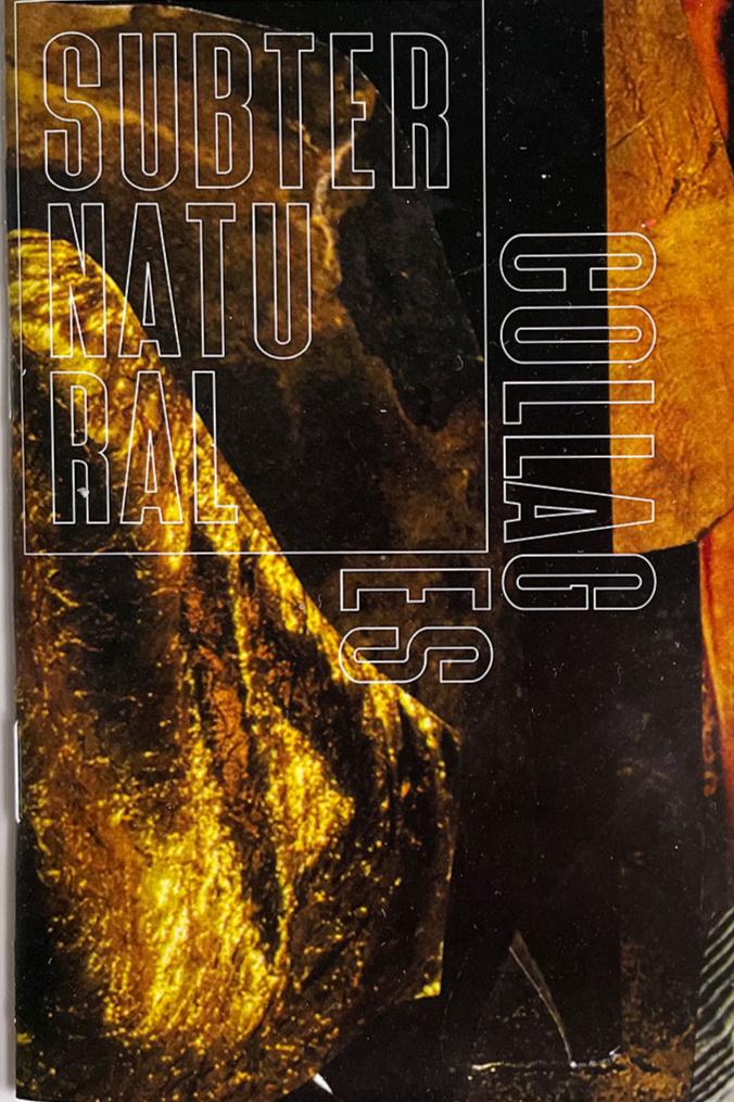 Book cover of Subternatural by allison