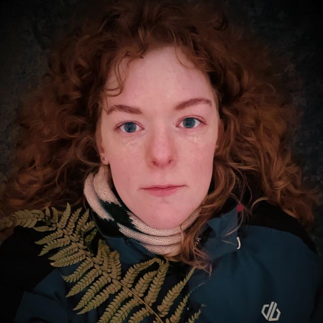 andi.mcfyre avatar