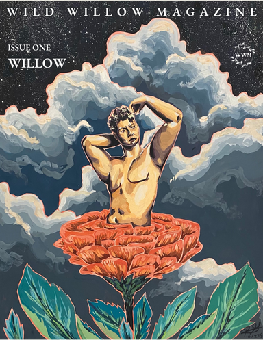 Wild Willow Magazine latest issue