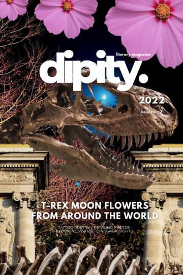 Book cover of Dipity Literary Mag Issue #2 (Dipity Economy Color Edition) by Jazz Marie Kaur