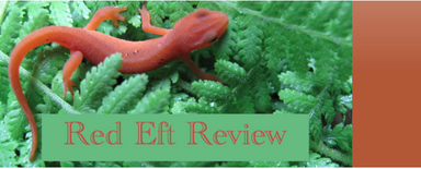 Red Eft Review latest issue