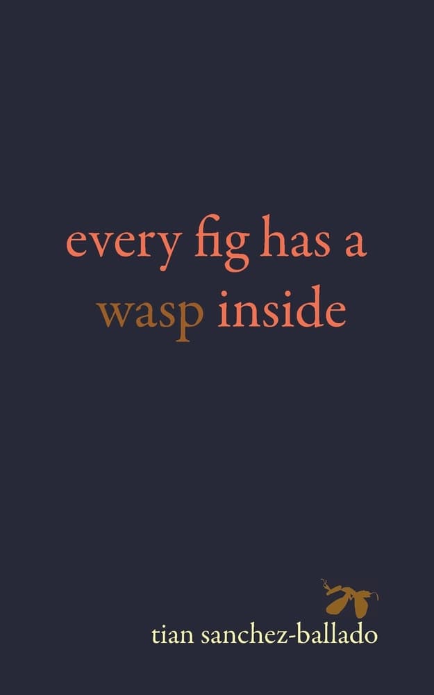 Book cover of Every Fig Has a Wasp Inside by Tian Sanchez-Ballado
