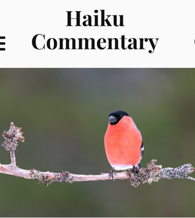 Haiku Commentary latest issue