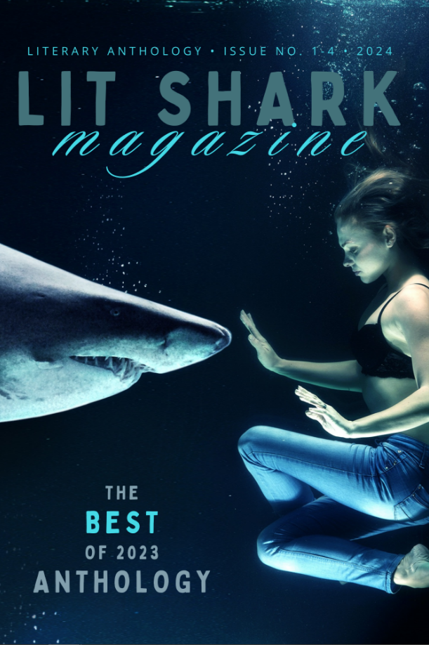 Book cover of Lit Shark's BEST OF 2023 Anthology by Lit Shark Magazine