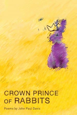 Book cover of Crown Prince of Rabbits by John Paul Davis