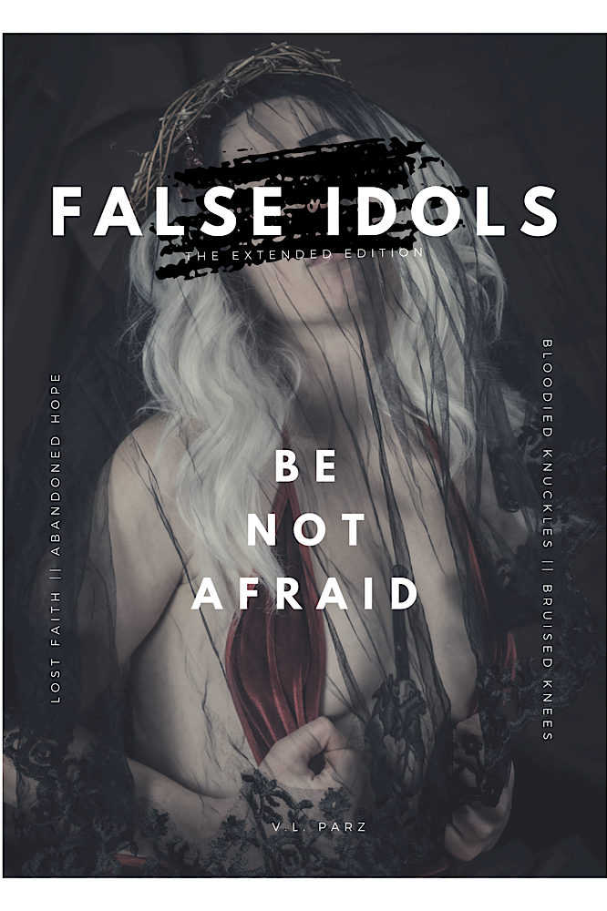 Book cover of FALSE IDOLS by V