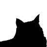 Dead Cat Poetry Prize logo