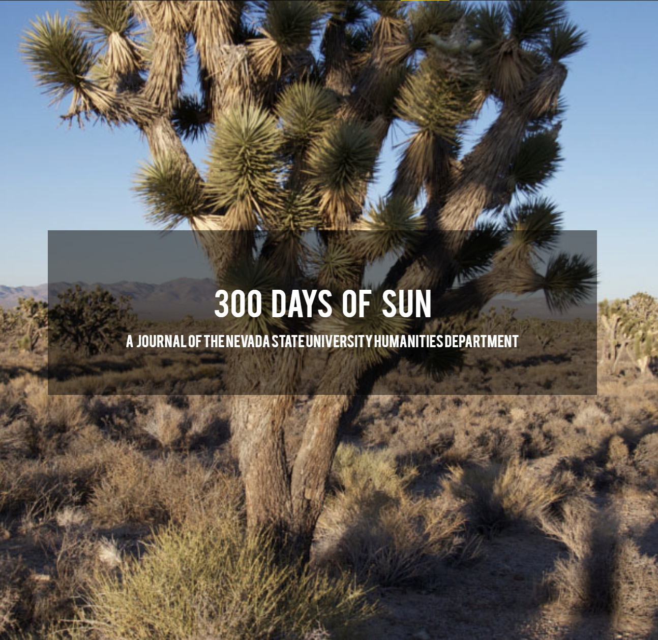 Cover of 300 Days of Sun
