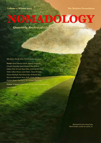 Nomadology latest issue