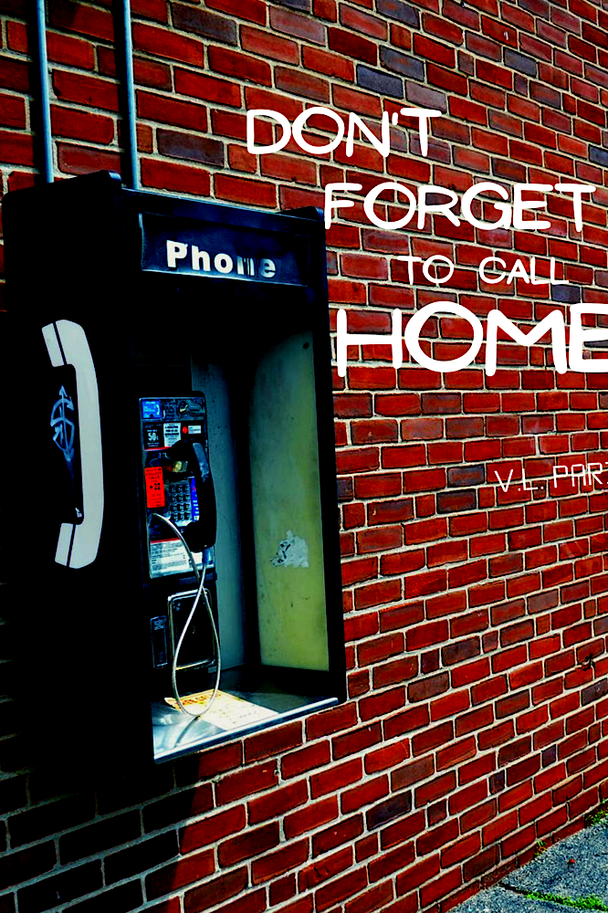 Book cover of DON’T FORGET TO CALL HOME by V