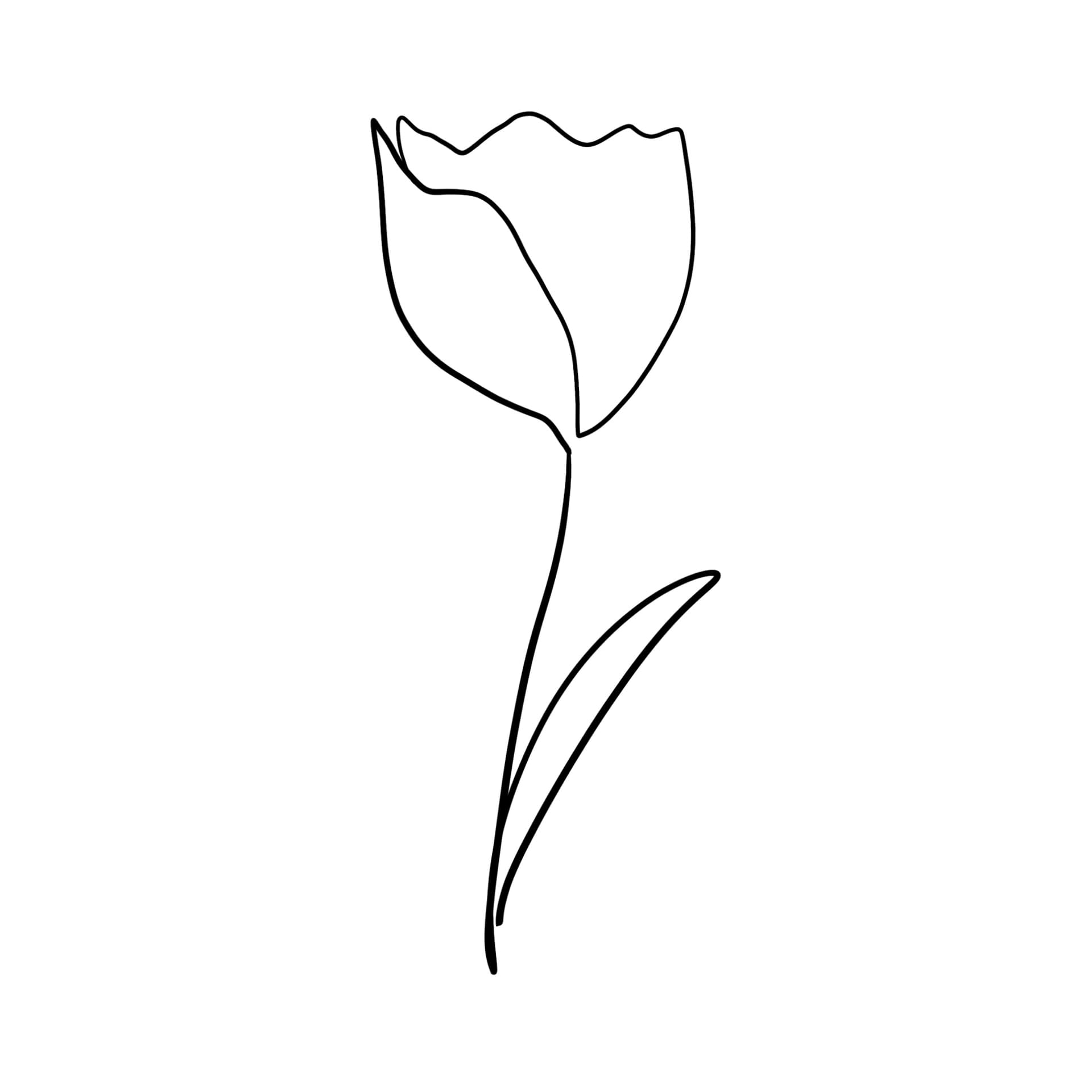 Cover of Four Tulips