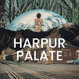 Cover of Harpur Palate Literary Journal