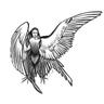 Harpy Hybrid Review logo