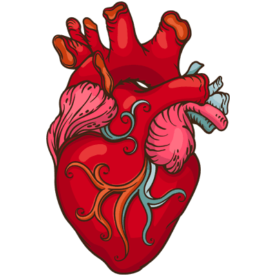 Cover of Heartlines Spec
