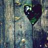 HeartWood Literary Magazine logo