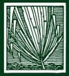 Cover of Louisiana Literature Journal