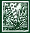 Cover of Louisiana Literature Journal