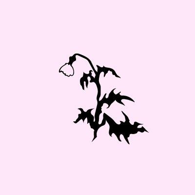 Cover of NiftyLit
