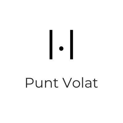 Cover of Punt Volat
