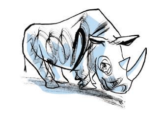 Cover of RHINO Poetry
