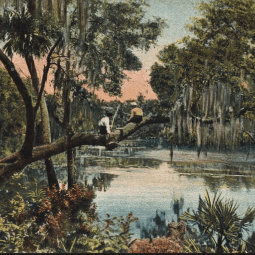 Cover of Saw Palm: Florida Literature & Art