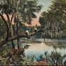 Saw Palm: Florida Literature & Art logo