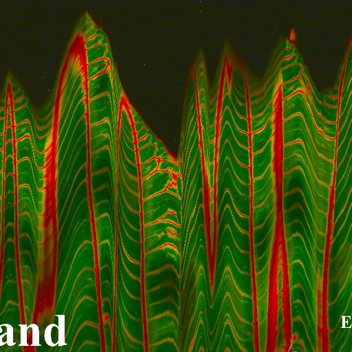 Logo of Stand Magazine literary magazine