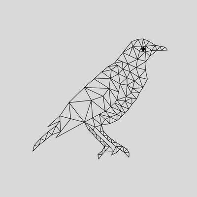 Cover of Starling