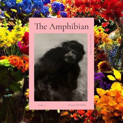 Cover of The Amphibian Literary Journal