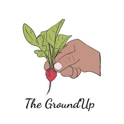 Cover of The GroundUp