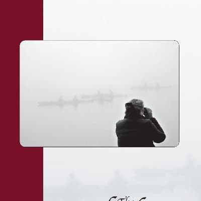 Cover of The Healing Muse