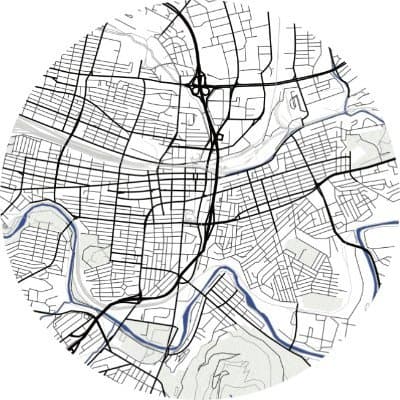 Cover of The Roanoke Rambler