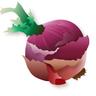The Shallot: Journal of Mental Health, Art, and Literature logo