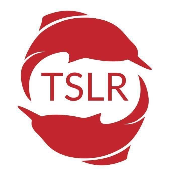 Logo of The Shanghai Literary Review literary magazine