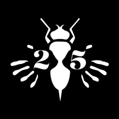 Cover of The Stinging Fly