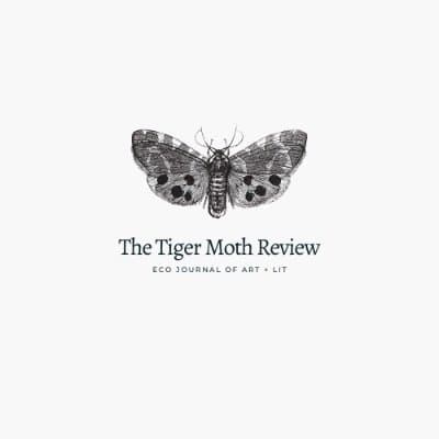 Cover of The Tiger Moth Review