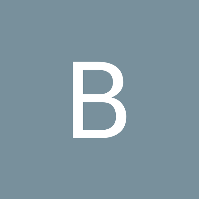 Badia Wechky avatar