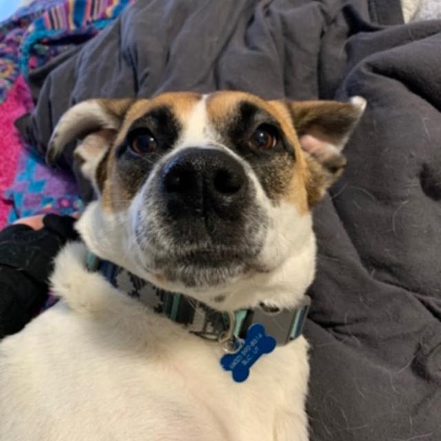 lilli.dukes avatar