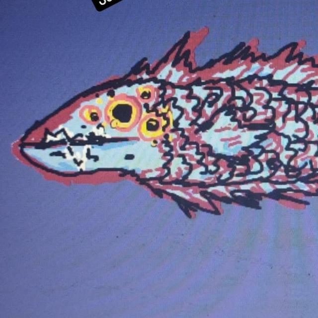 Apricot Lungs avatar