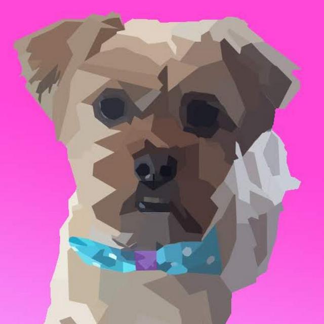 Alison Lodge avatar