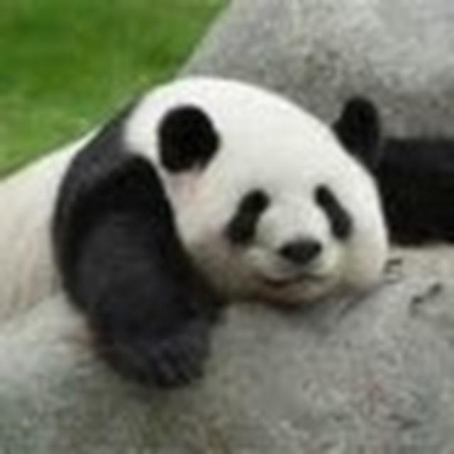 Marcat 27 avatar