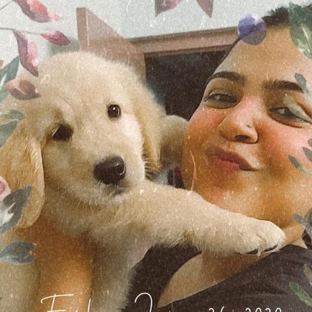 Aindrila Pal avatar